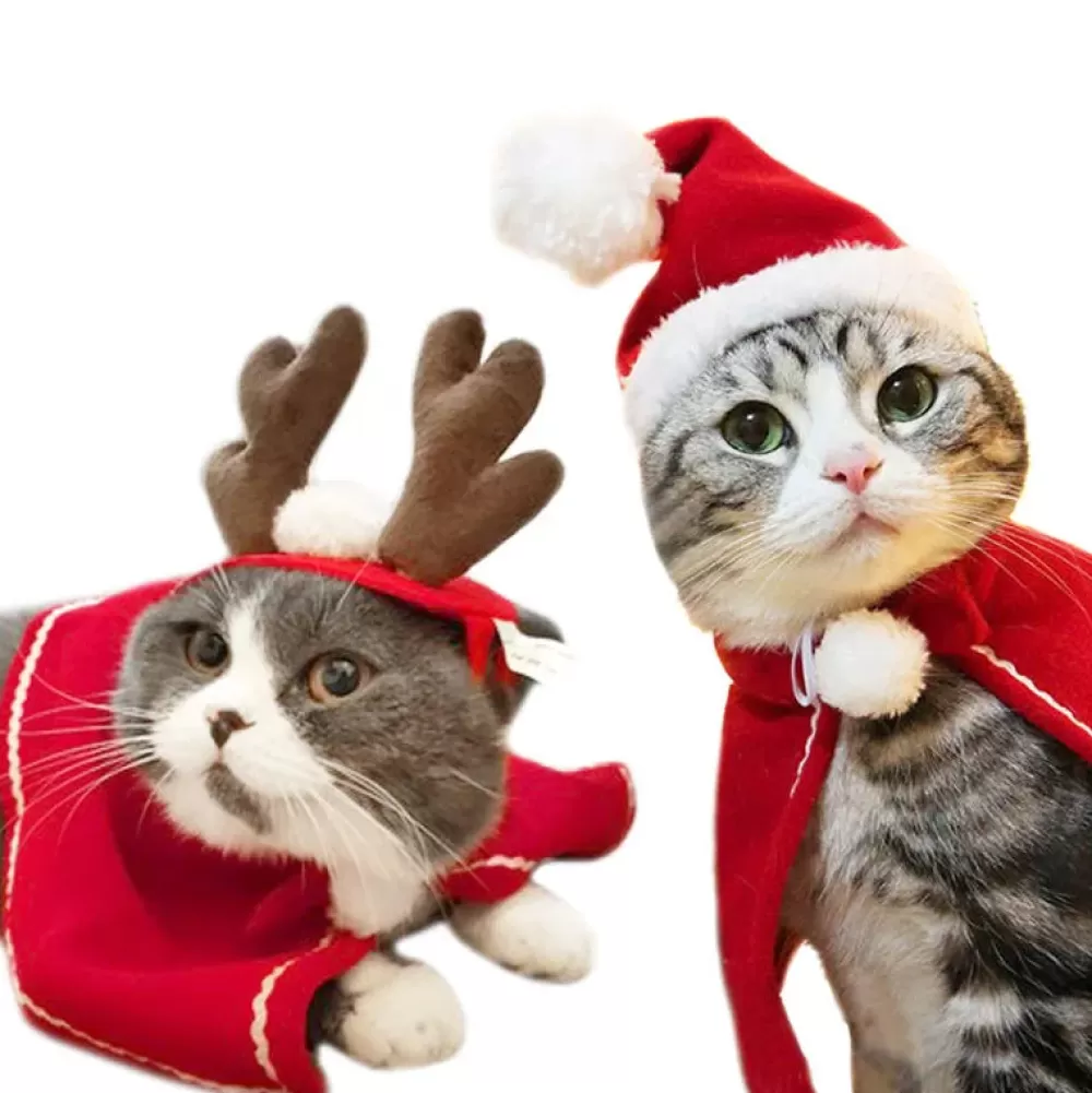 Discount Bonnet De Noël Chat Bonnets De Noël