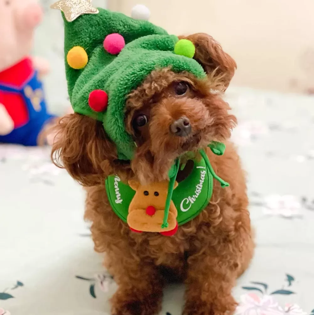 Fashion Bonnet De Noël Pour Chien Décorations De Noël Pas Cher | Bonnets De Noël